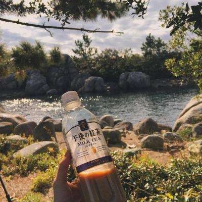 真人斗牛牛最新版下载手机版