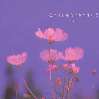 博鱼综合体育官网登录